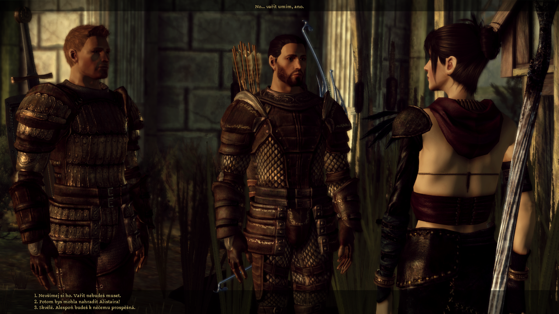 Dragon Age: Origins