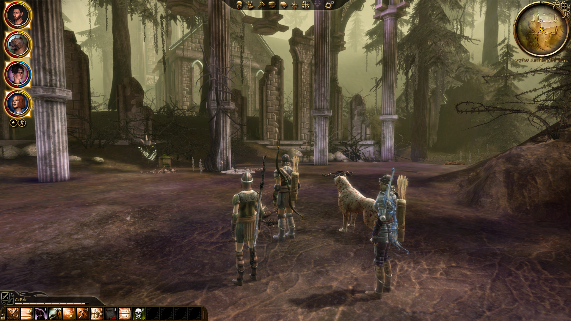 Dragon Age: Origins